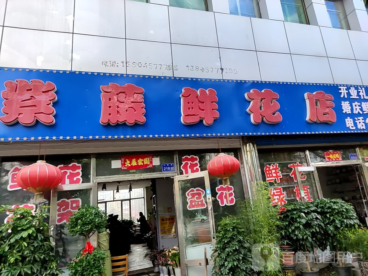 紫藤鲜花店