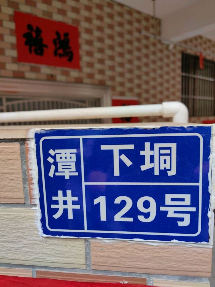 潭井下垌129号