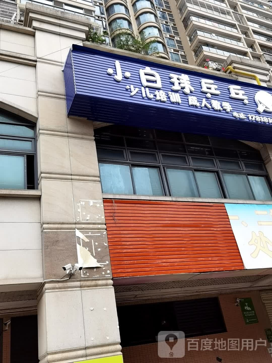 山白球乒乓