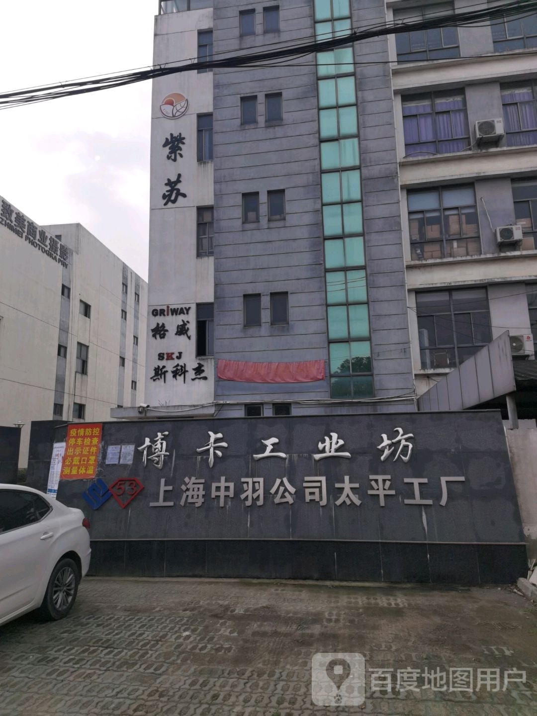 紫苏