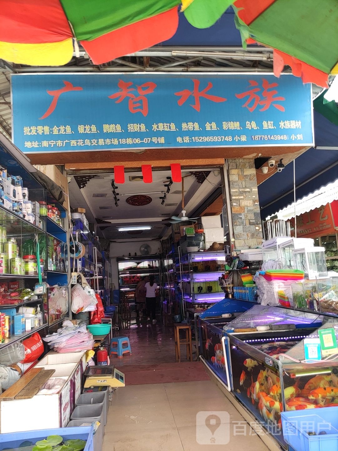 广智水族(广西花鸟交易市场店)