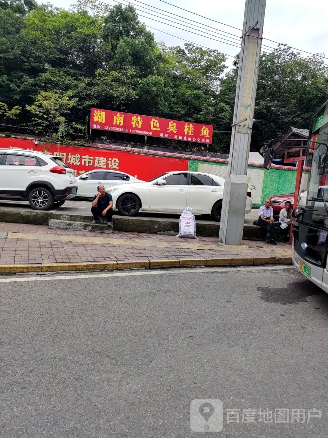 湖南特色臭桂鱼