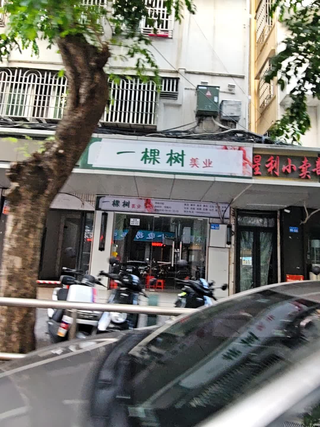 一棵树美业