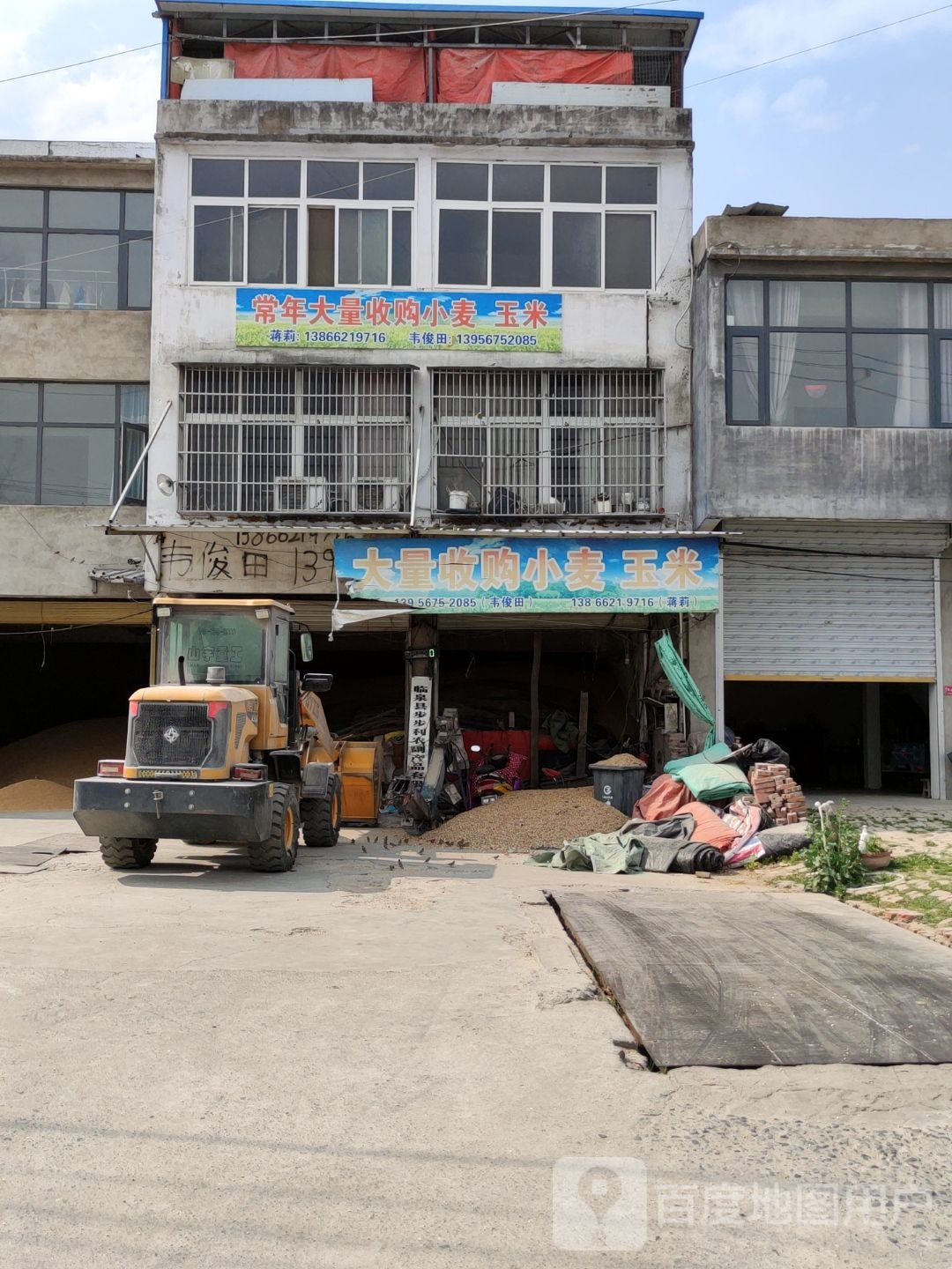 常年大量收购小麦玉米