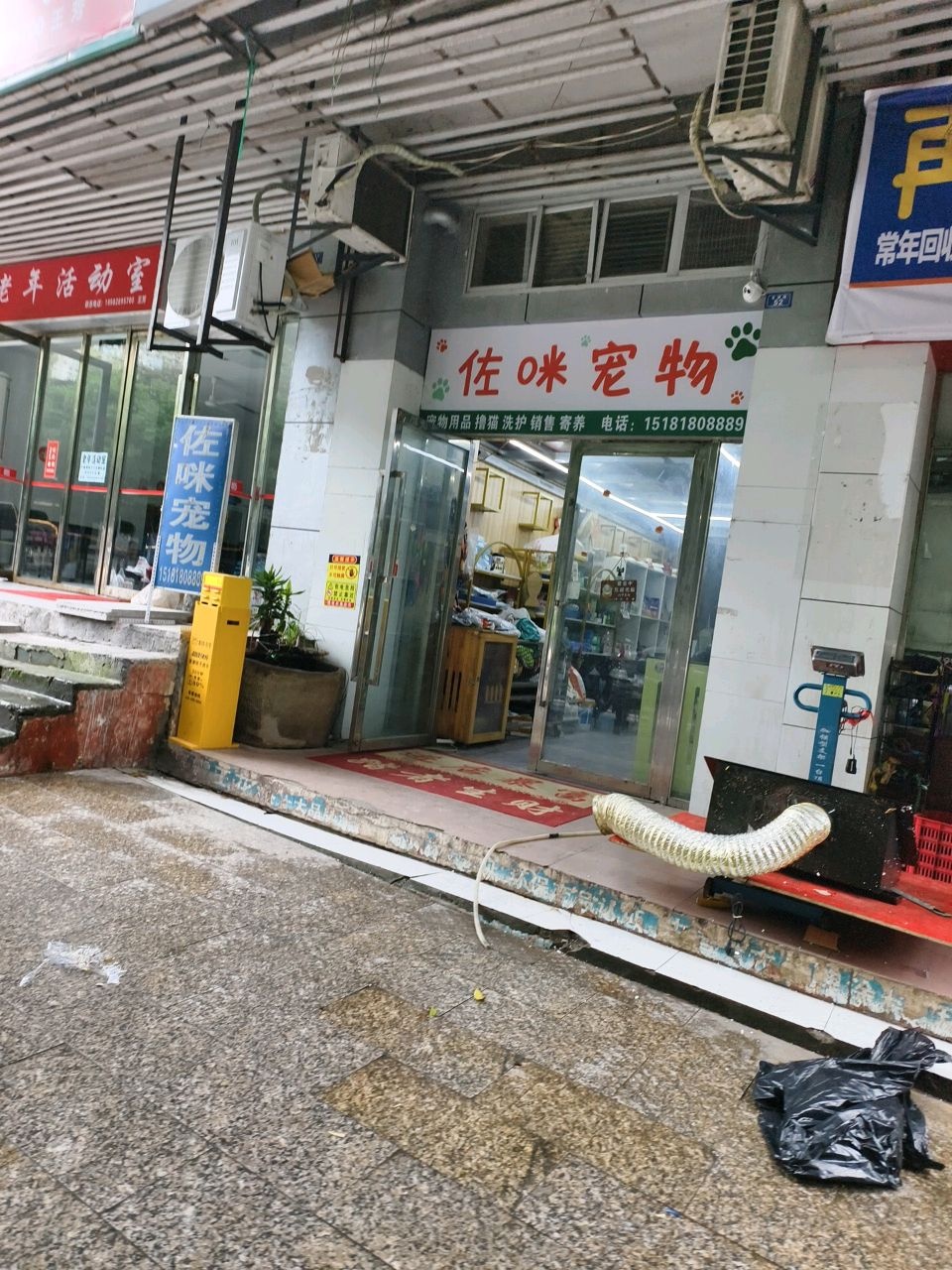 佐咪宠物