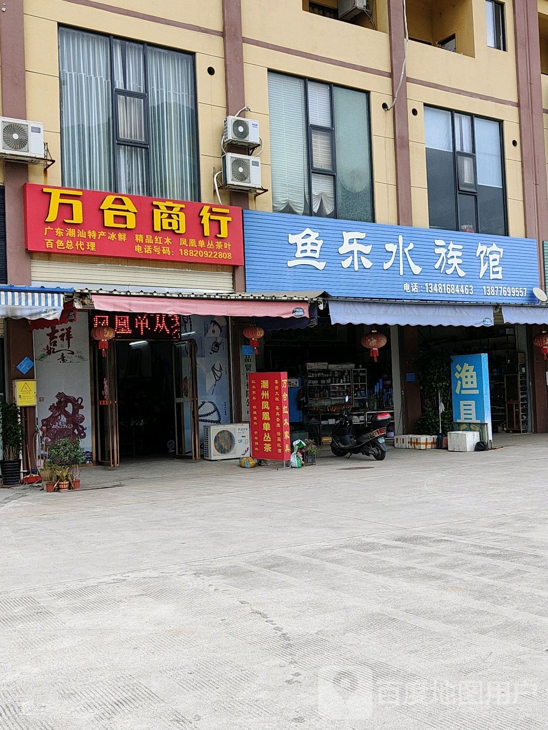 娱乐水族馆(百色百泉花鸟市场店)