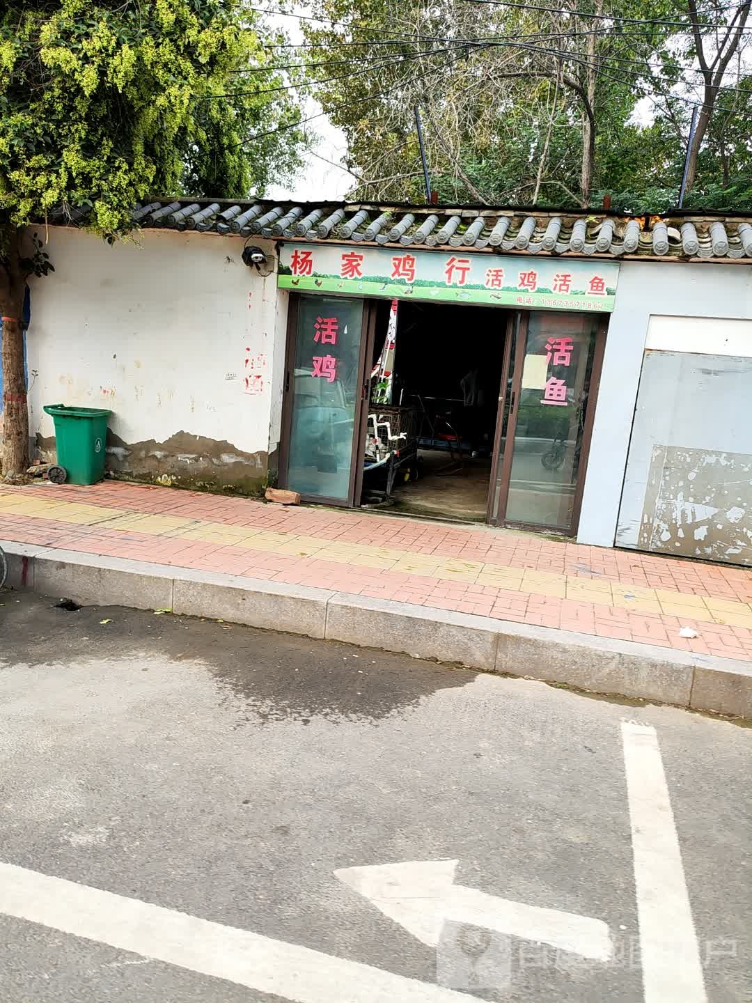 西华县杨家鸡行