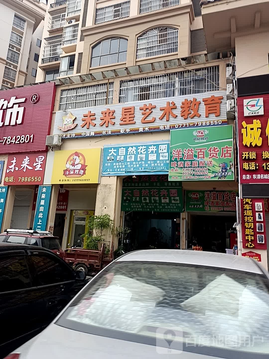 大自然花卉园
