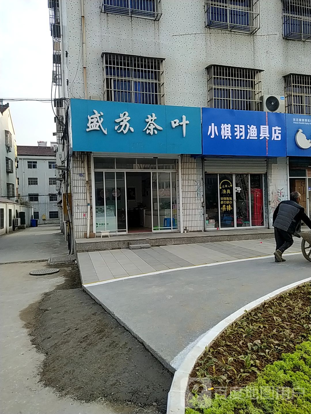 盛苏茶叶