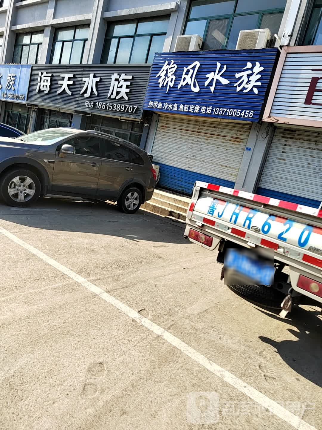 海成水族