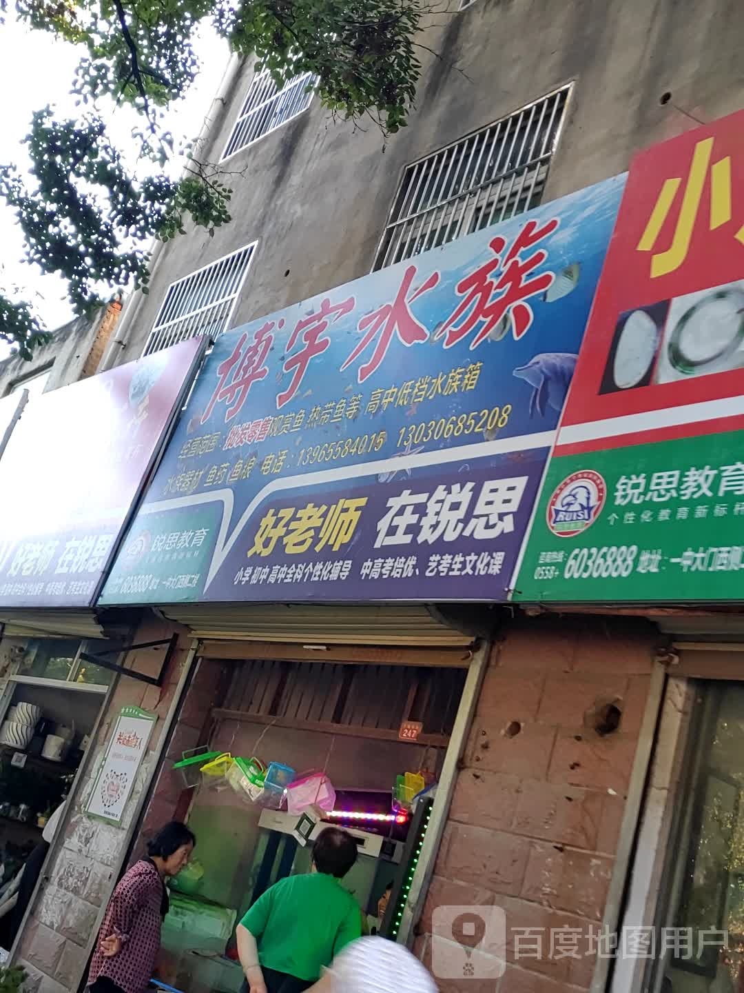 博宇水族(东城墙路店)