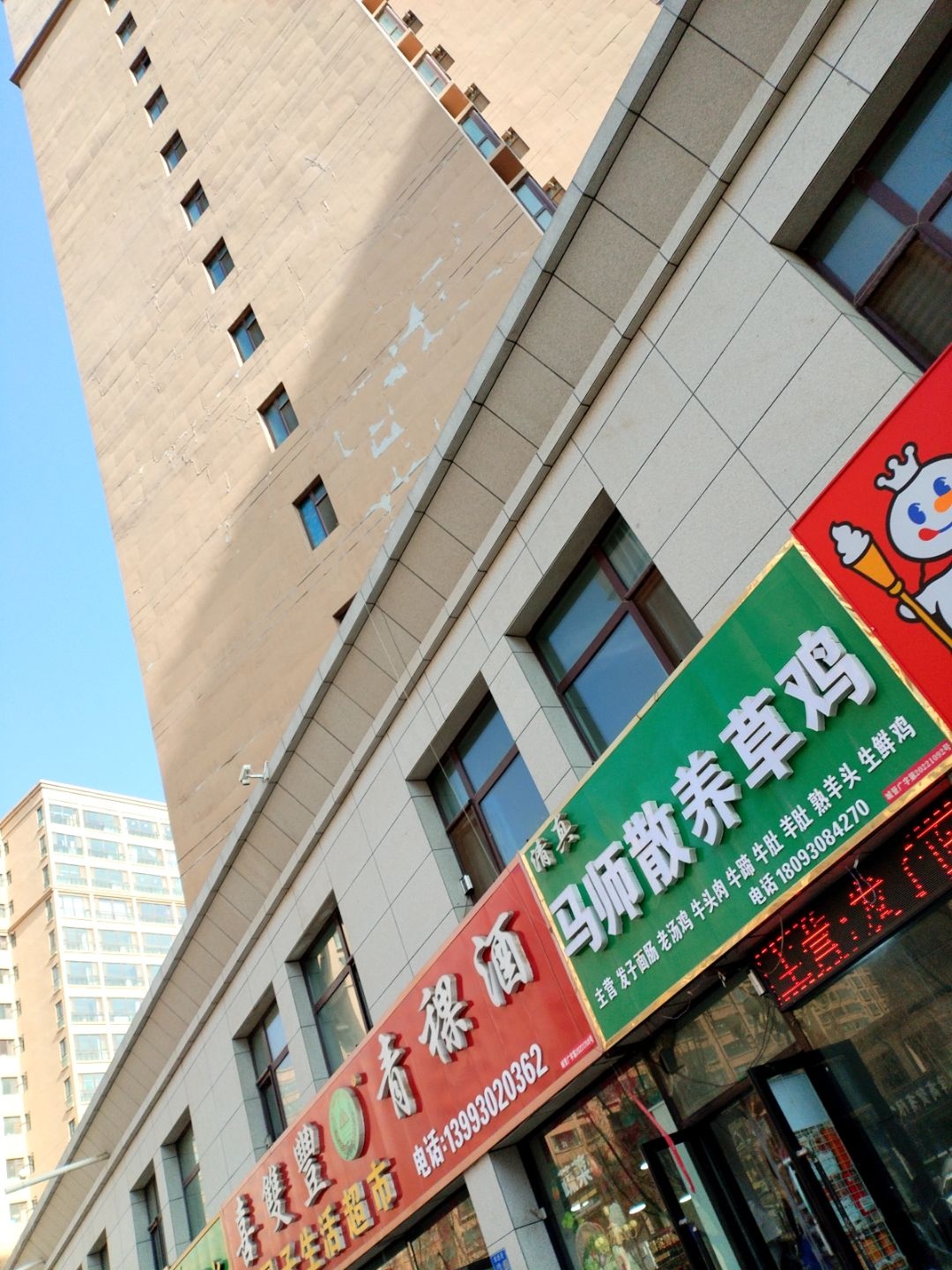 清真马师散养草鸡