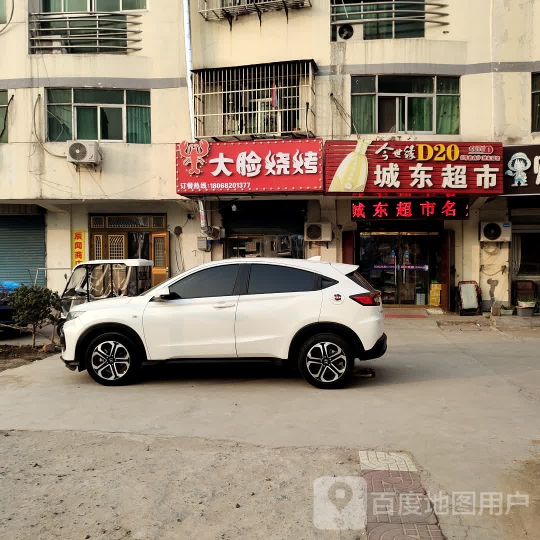 脸砾鳄大烧烤