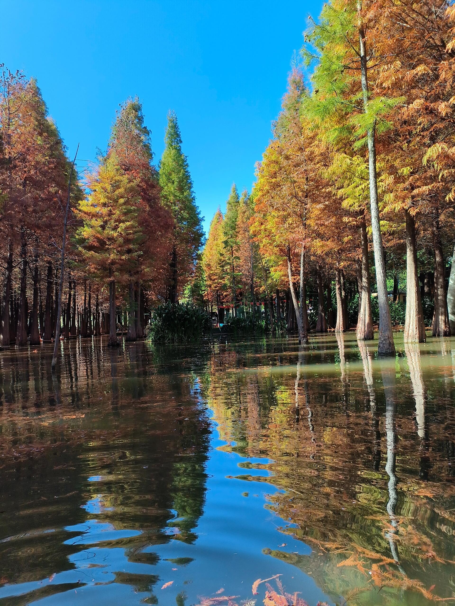 海洪湿地