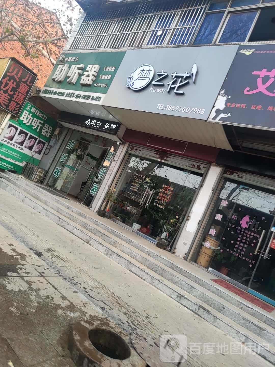 梦之花