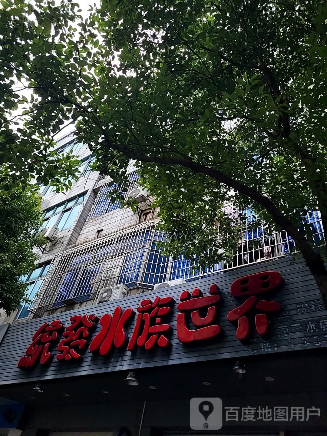 统发水族世界(新都汇时代广场店)