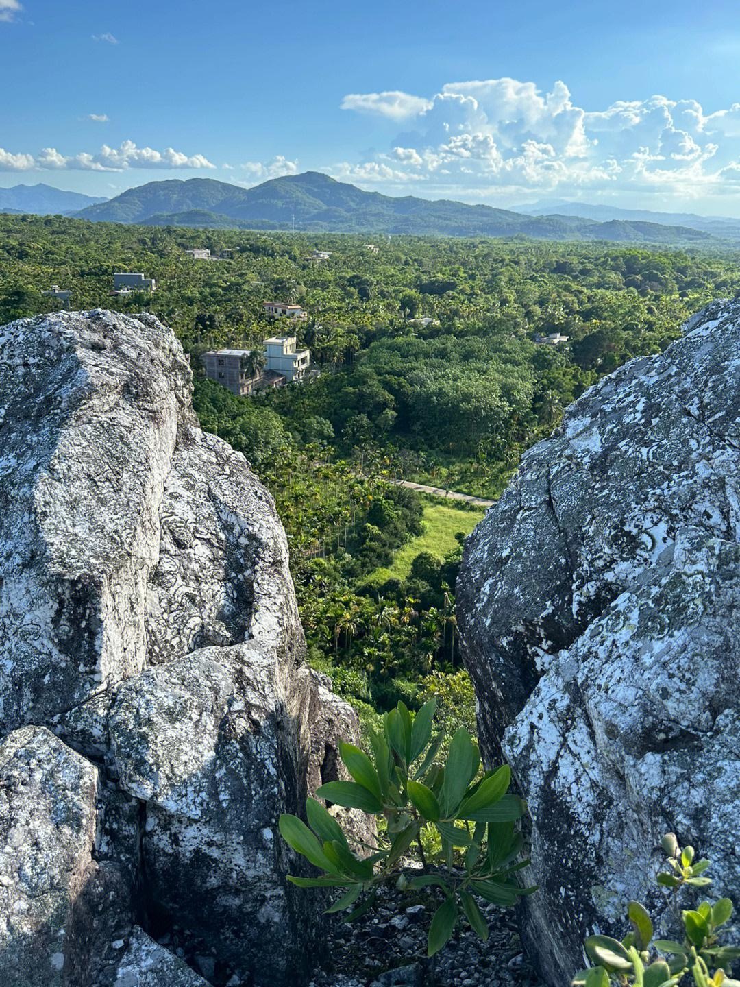 白石岭