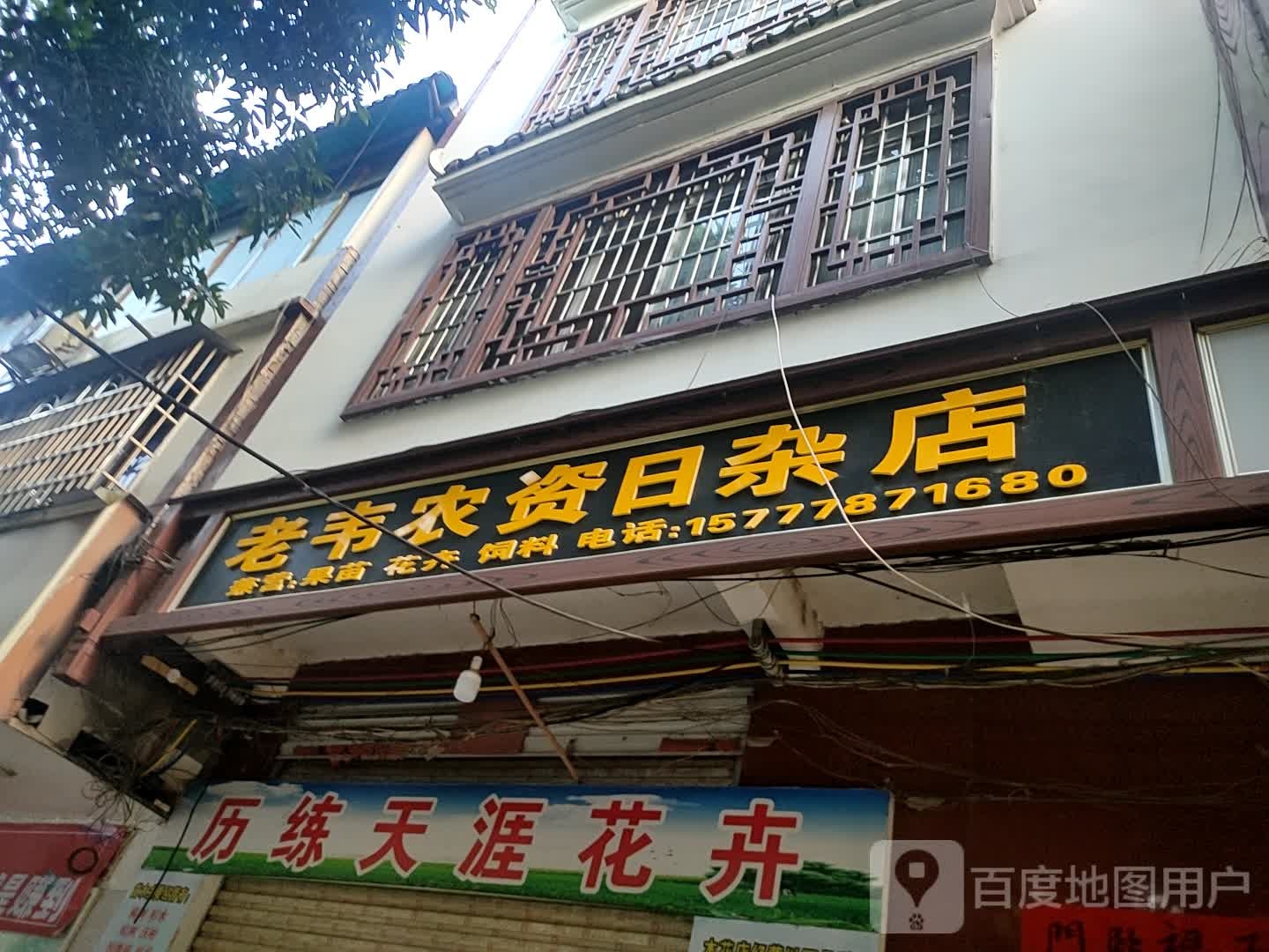 历练天涯花卉