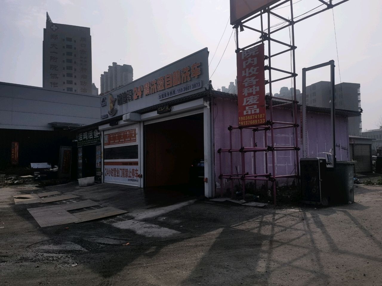 活鸡活鱼