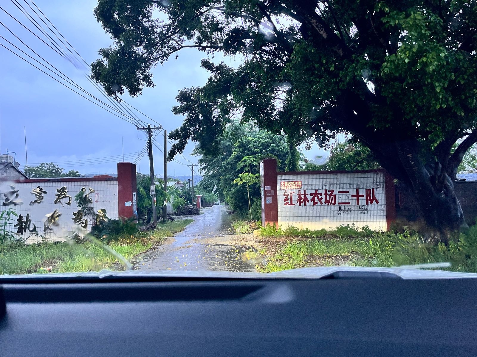 红林农场二十队