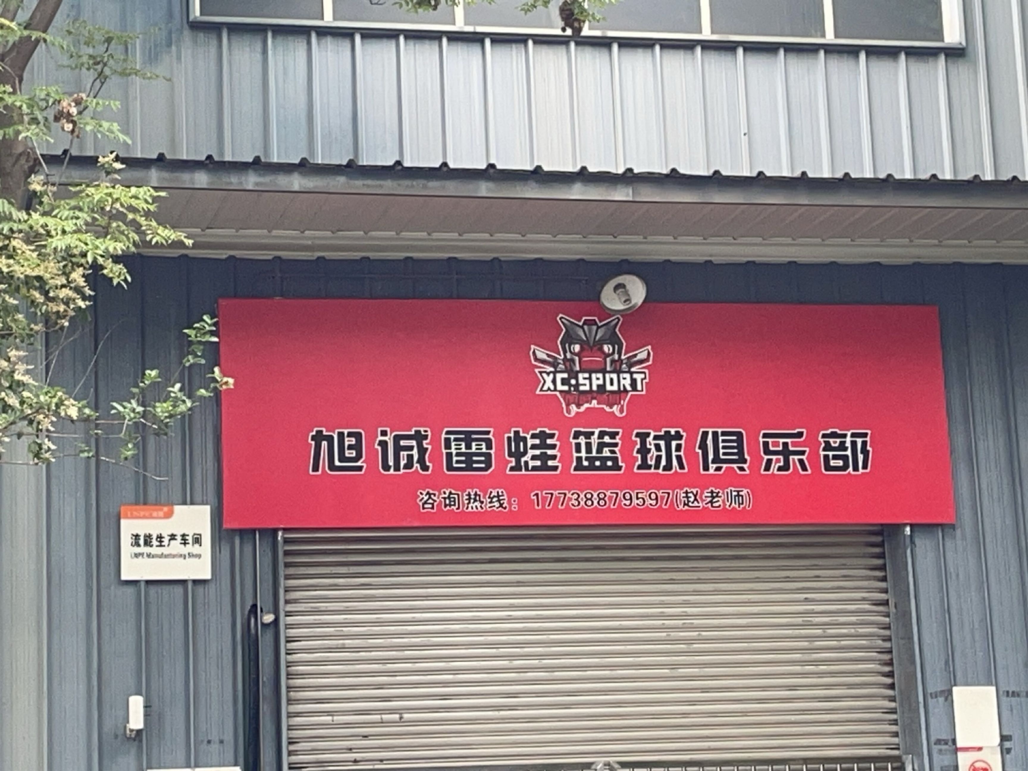 旭诚雷蛙篮球俱乐部(上马校区)
