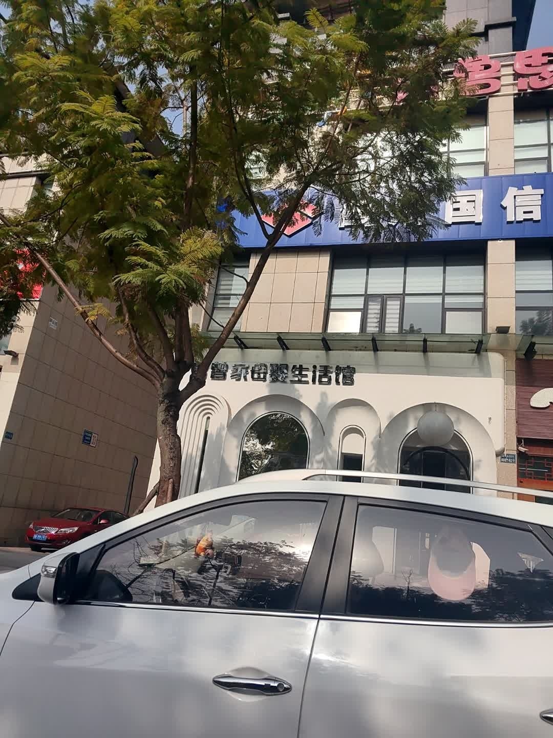 曾曾家母婴生活馆(翡翠国际社区店)