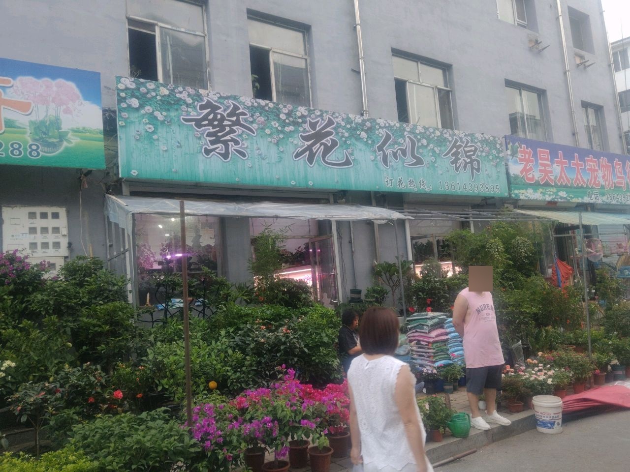 繁花似锦(交通局住宅楼店)