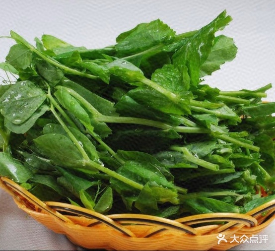 老文鱼铺