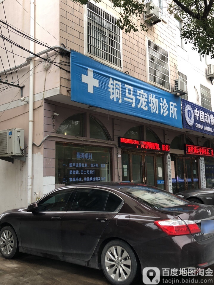 铜马宠物诊所