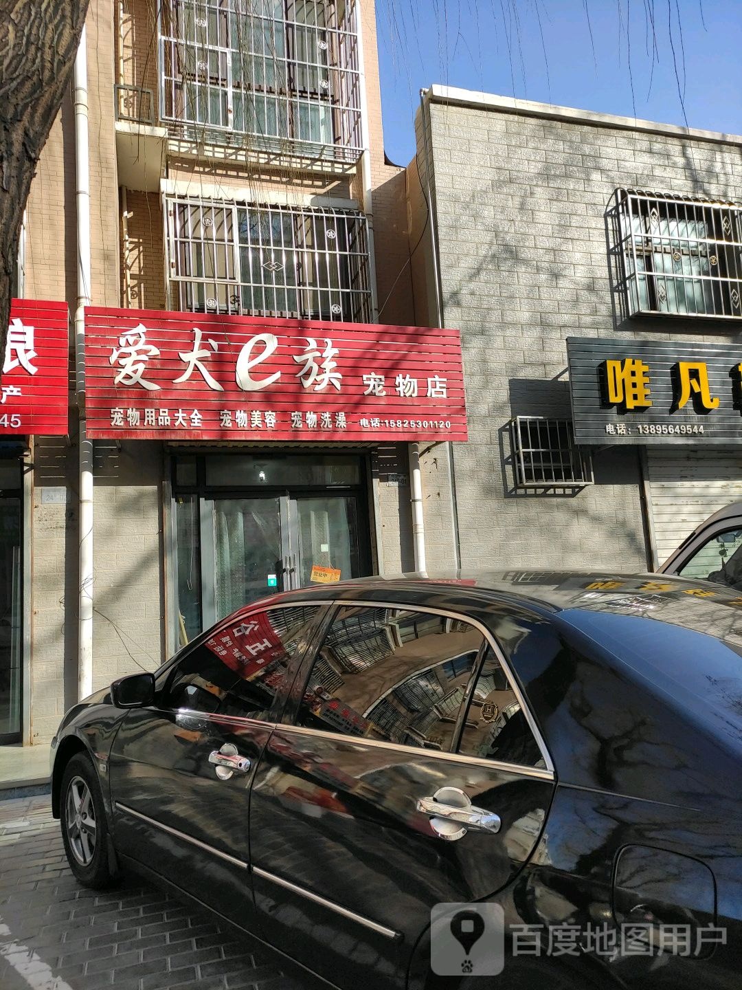 爱犬e族宠物店