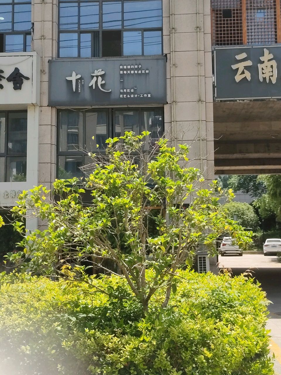 青阳县蓉城镇十花花店