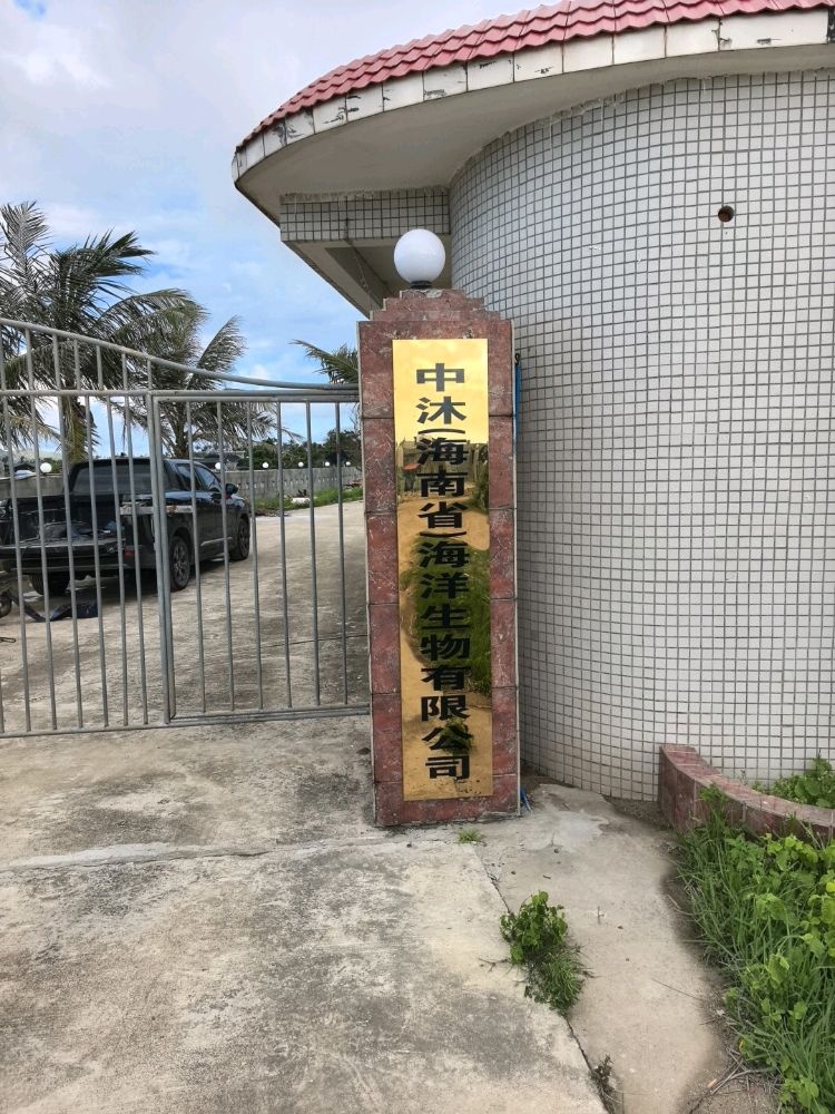 中沐(海南省)海洋生物有限公司