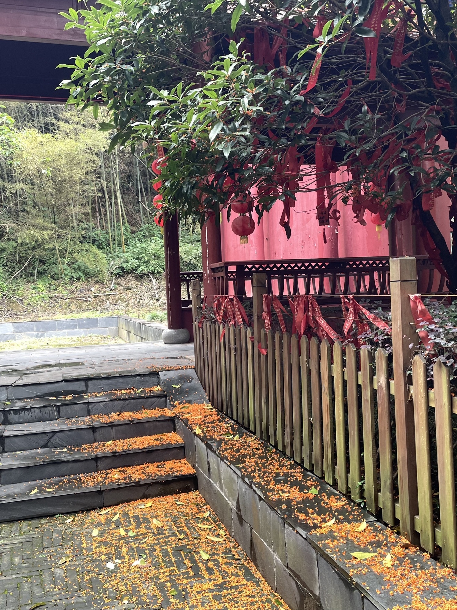 樟树阁皂山风景区