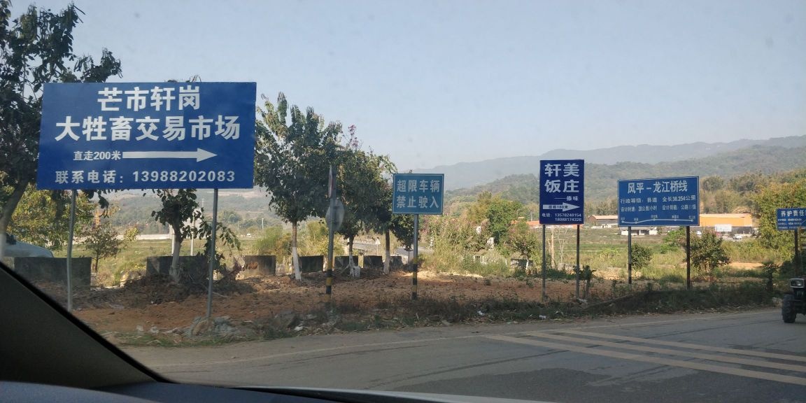 芒市轩岗乡大牲畜交易市场