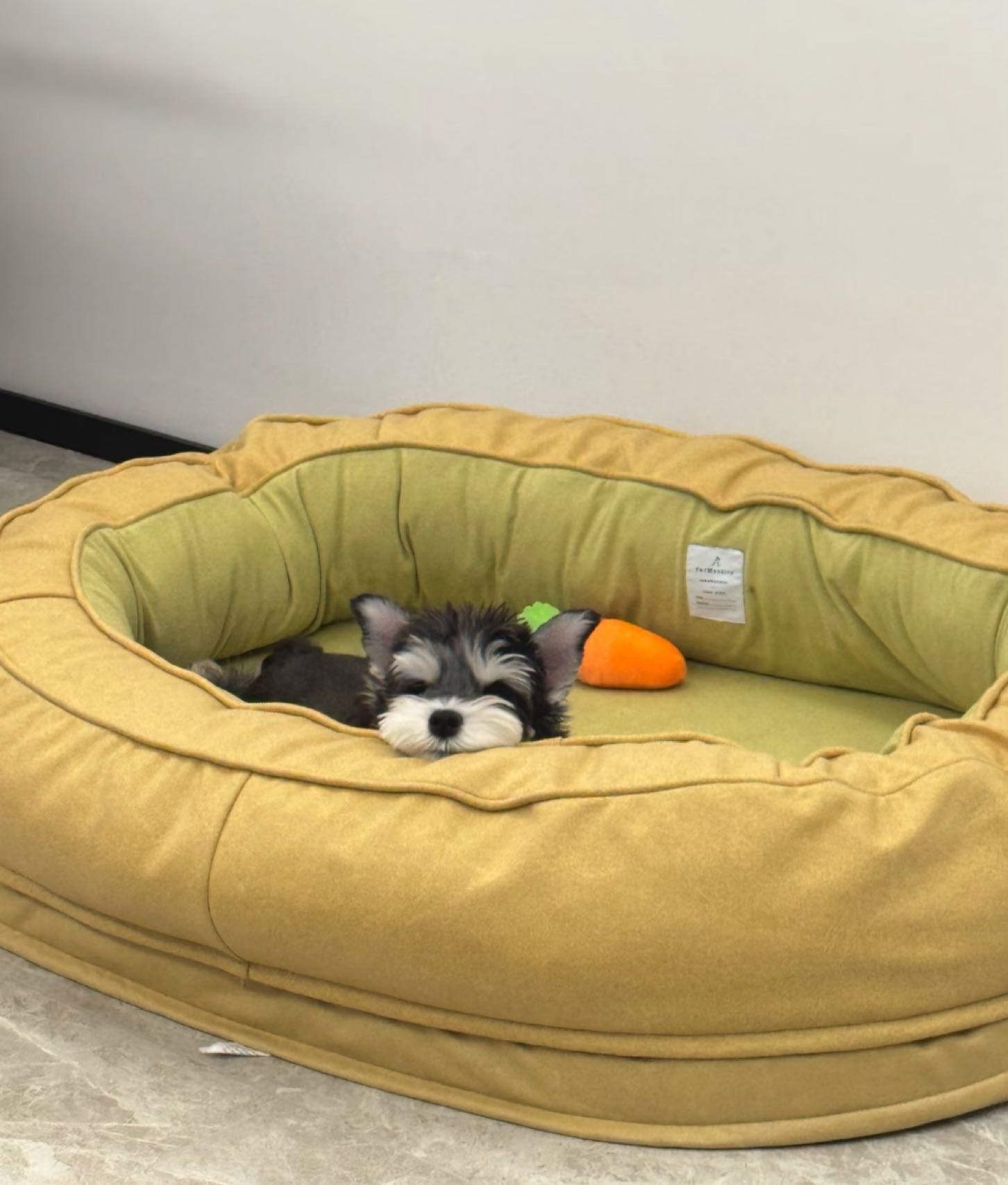 心友宠物犬舍基地