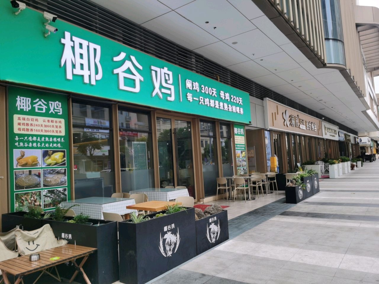 椰谷鸡(海口雅乐里店)