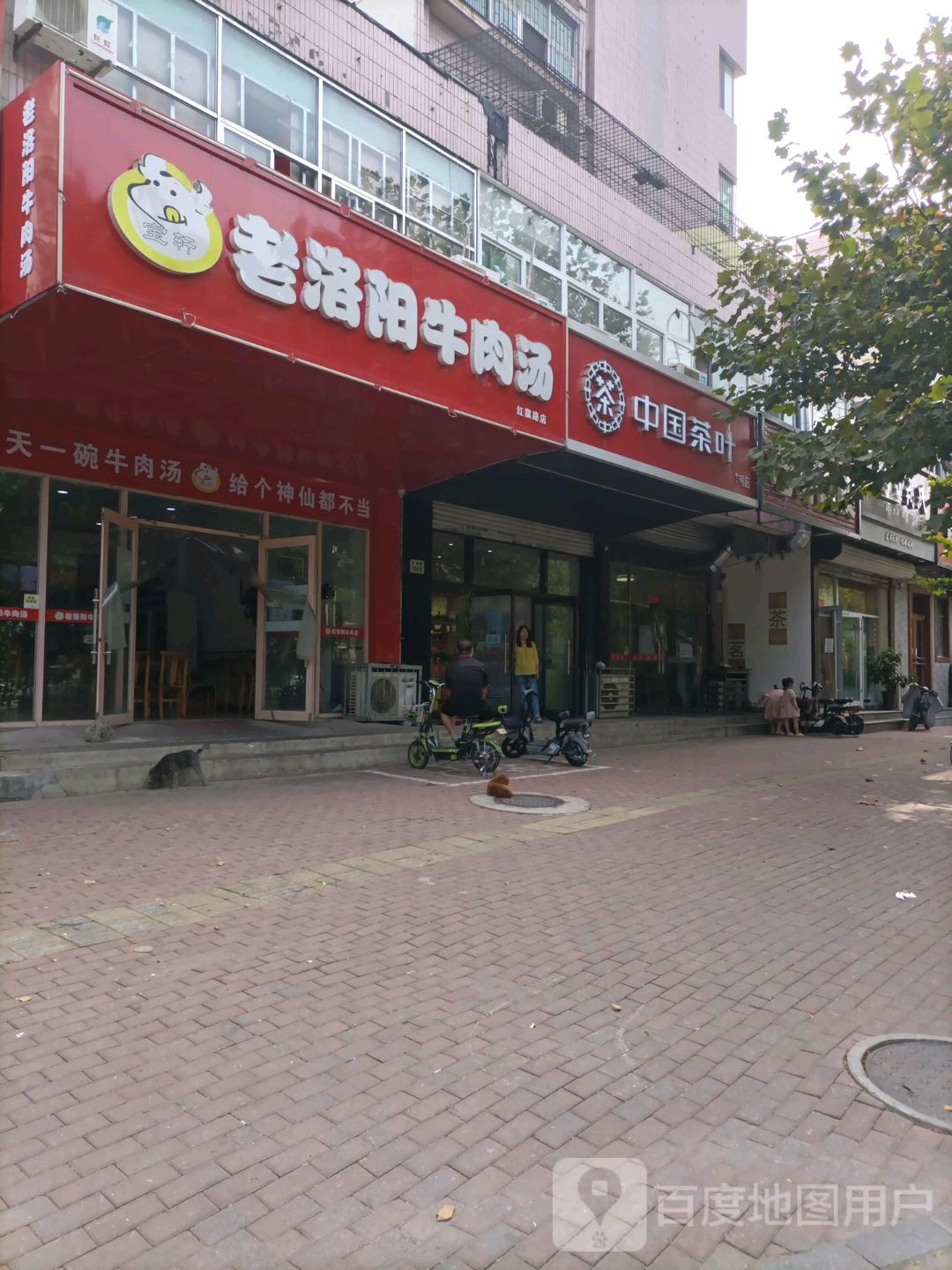 中国茶叶