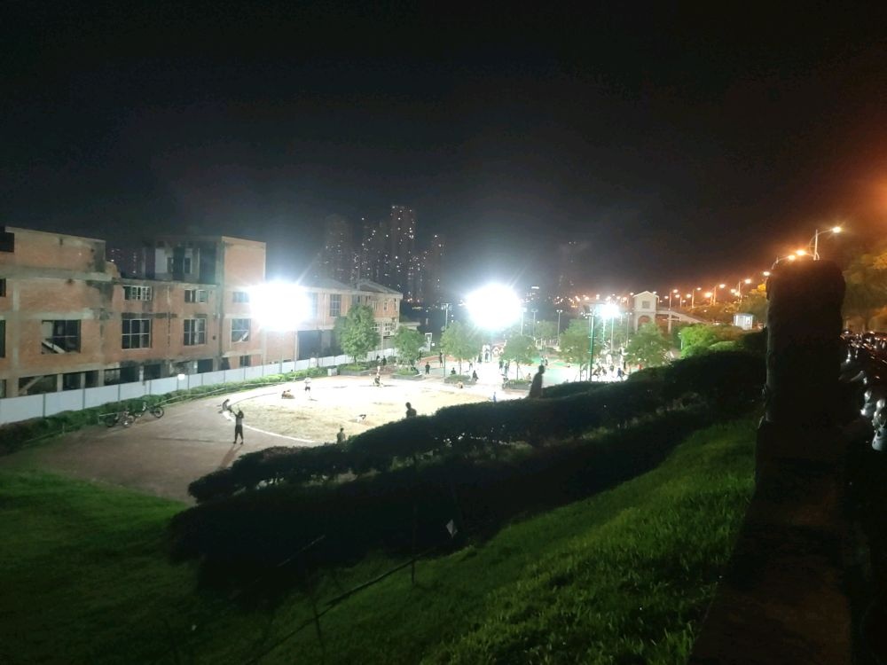 良庆大桥东南-篮球羽毛球场