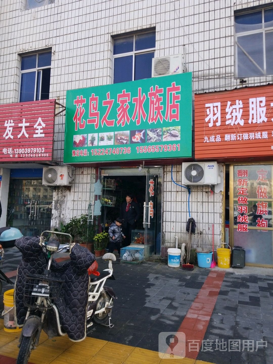 花鸟之家水族店