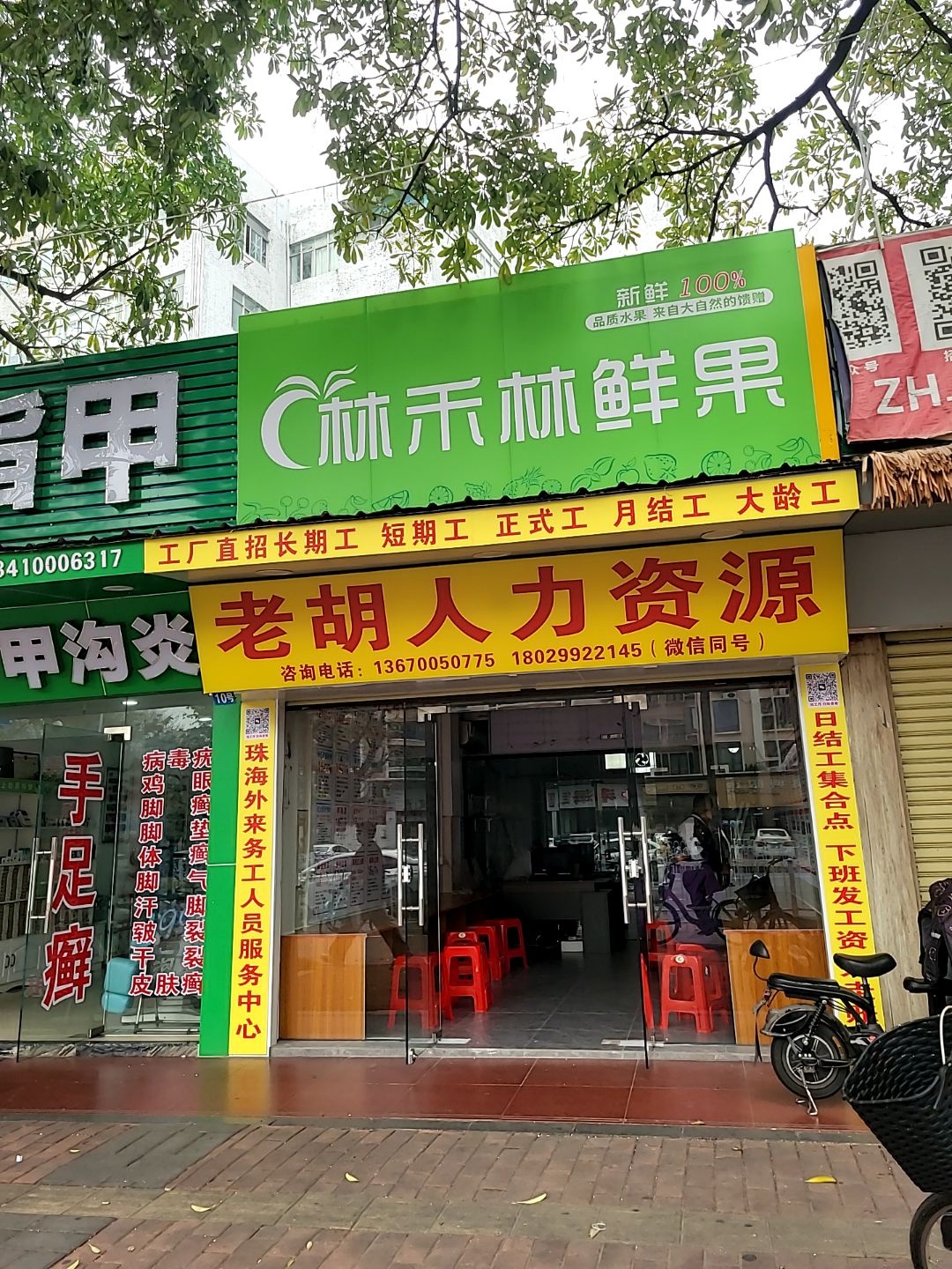 林禾林鲜果