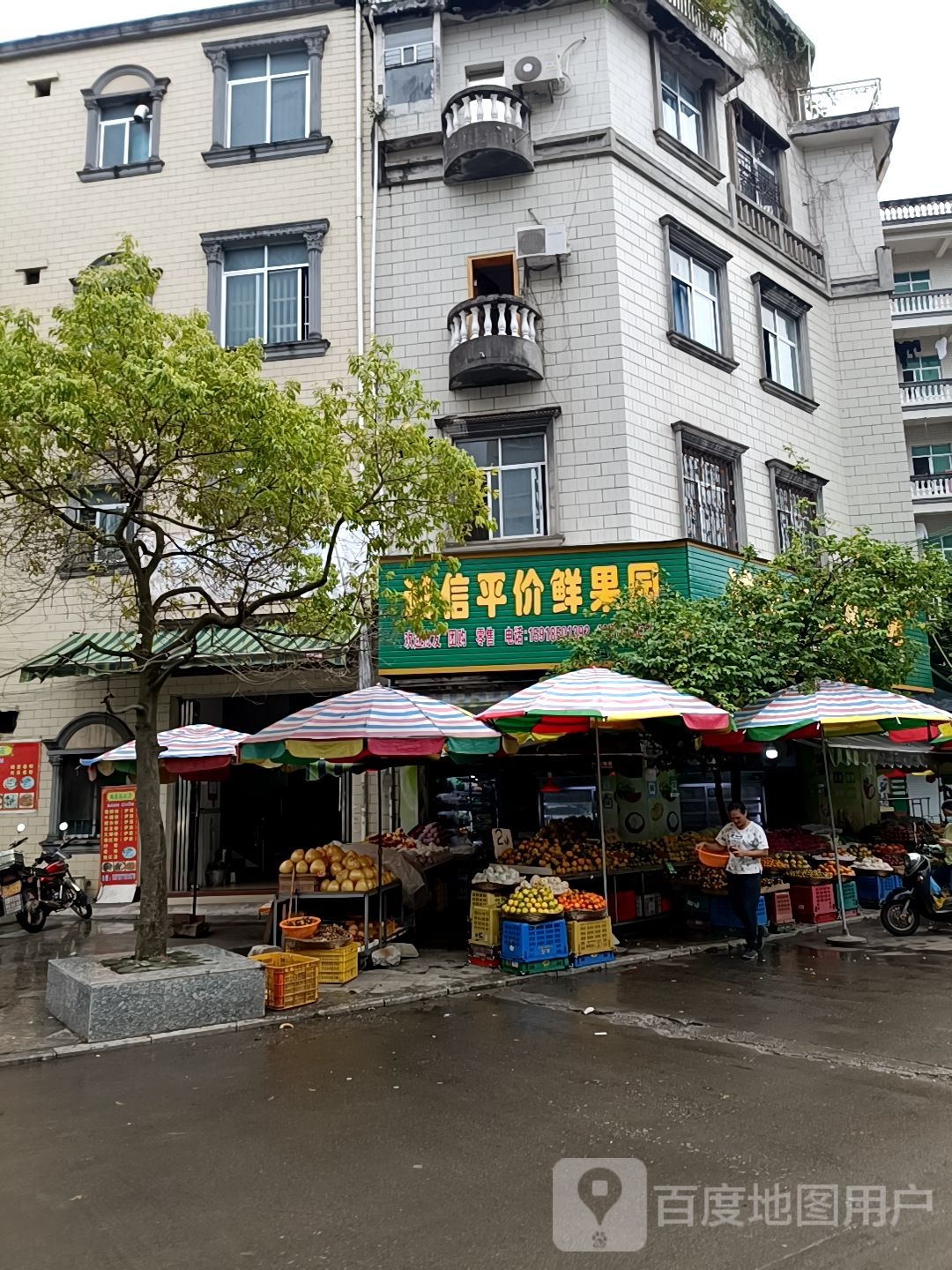 诚信平价鲜果园(国贸店)
