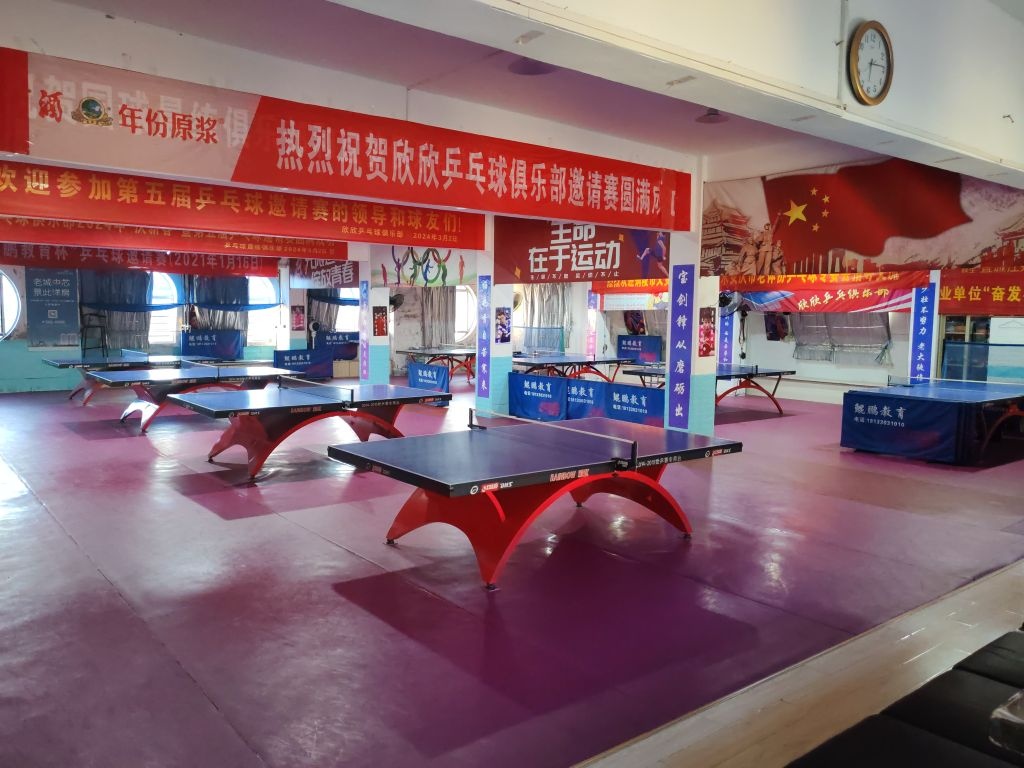 安庆市大观区欣欣乒乓球俱乐部