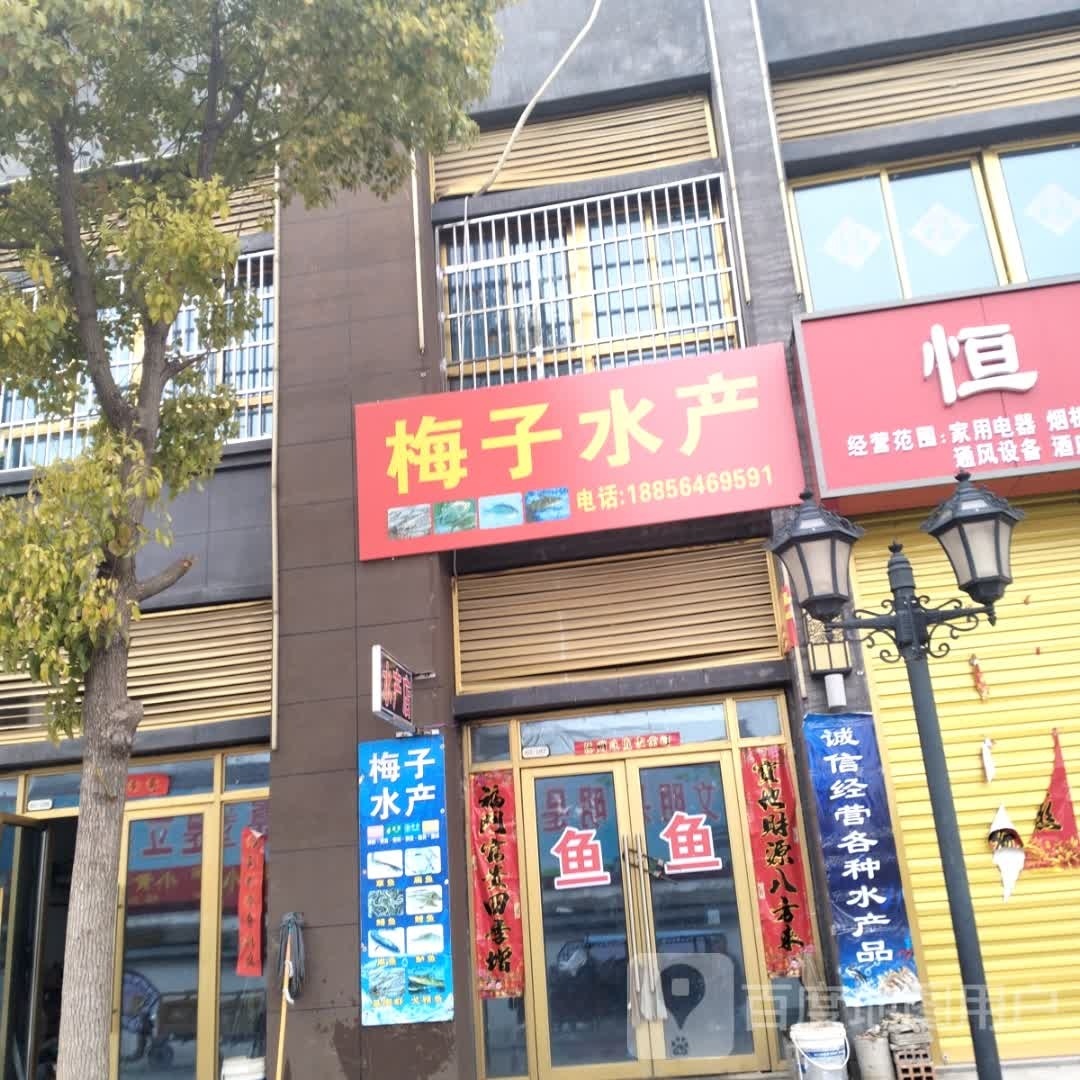煤子水产