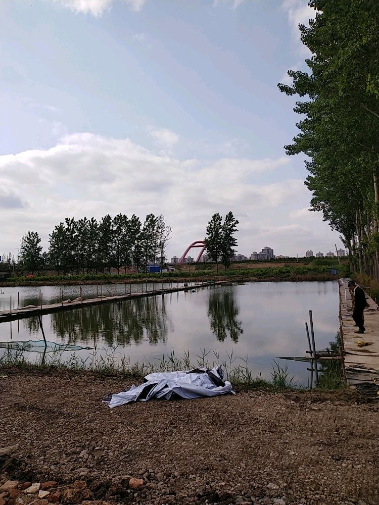 灵璧诚信垂钓园