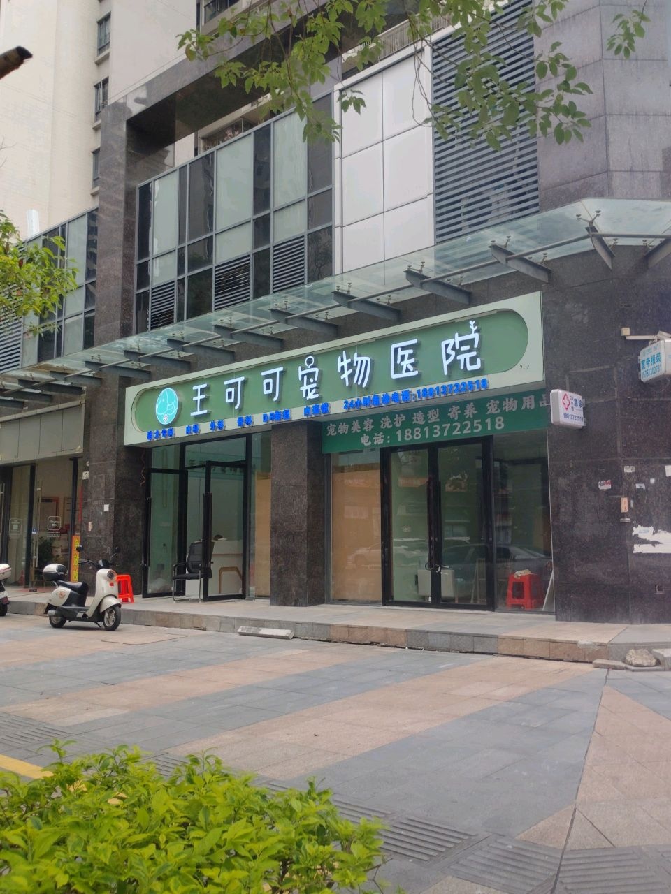 中山市王可可宠物医院