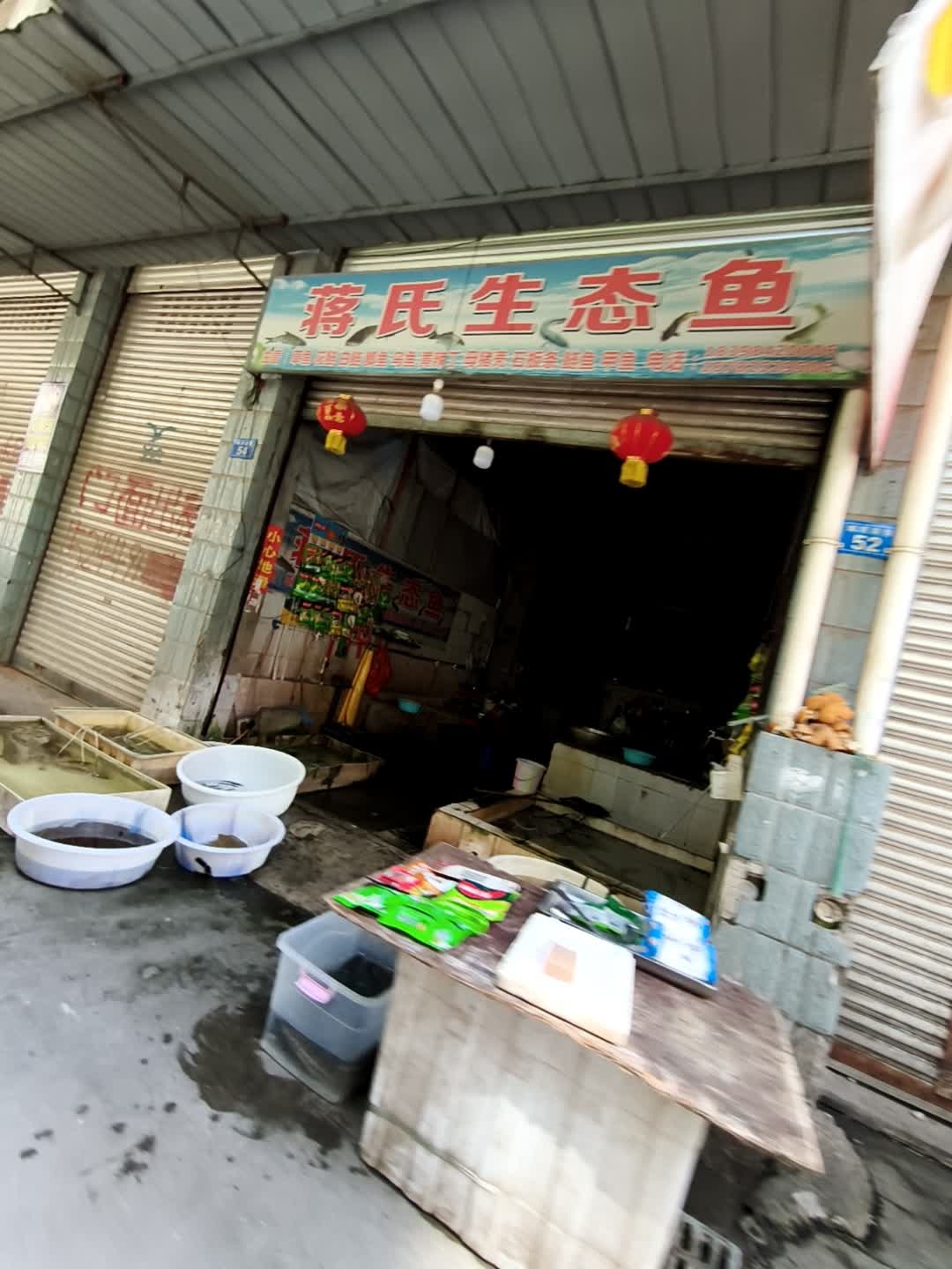 蒋氏生态鱼