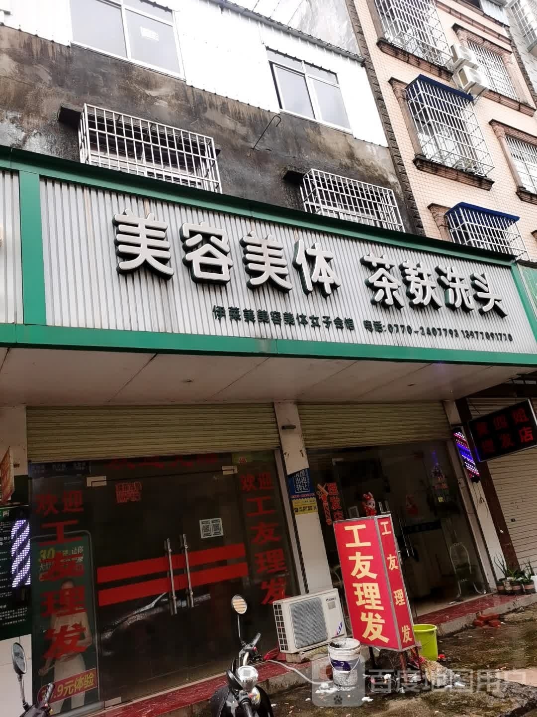 美容美体茶麸洗头