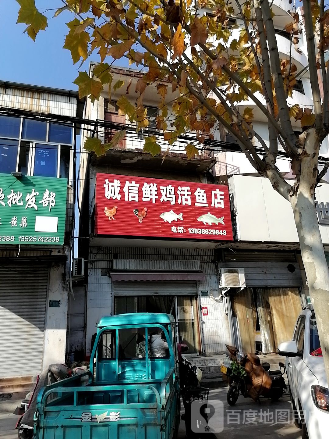 诚信鱼店