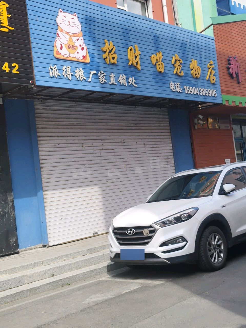 招财喵宠物店