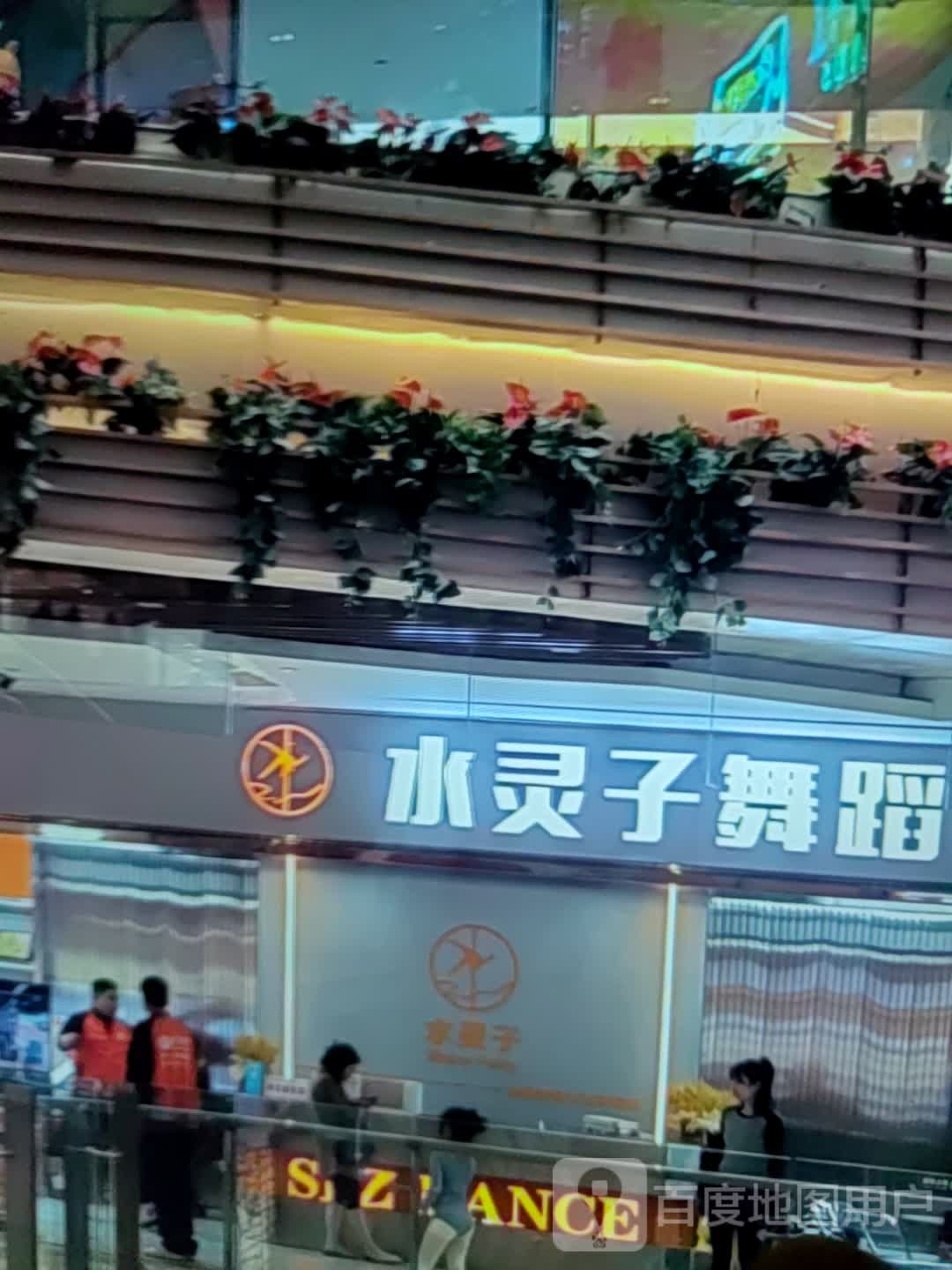 水灵子舞蹈(瑞德广场店)